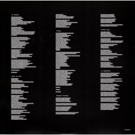 Depeche Mode - Sounds Of The Universe (0889853370313) виниловая пластинка - фото 10