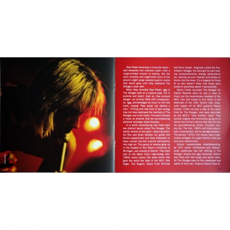 The Stooges - Raw Power (0889853751716) виниловая пластинка - фото 13