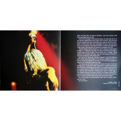 The Stooges - Raw Power (0889853751716) виниловая пластинка - фото 15