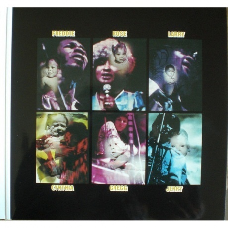 Sly &amp; The Family Stone - Stand! (0889853679119) виниловая пластинка - фото 5