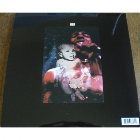 Sly &amp; The Family Stone - Stand! (0889853679119) виниловая пластинка - фото 6