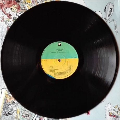 Green Day - Dookie (0093624986959) виниловая пластинка - фото 7