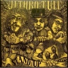 Jethro Tull - Stand Up (0190295932855) виниловая пластинка