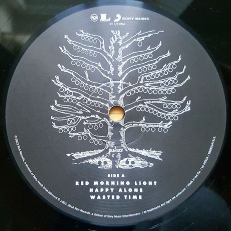 Kings Of Leon - Youth &amp; Young Manhood (0889853473113) виниловая пластинка - фото 4