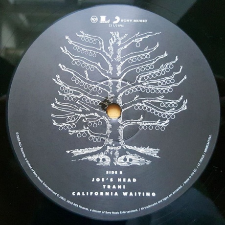 Kings Of Leon - Youth &amp; Young Manhood (0889853473113) виниловая пластинка - фото 5