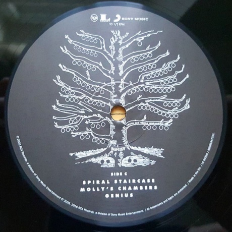 Kings Of Leon - Youth &amp; Young Manhood (0889853473113) виниловая пластинка - фото 6