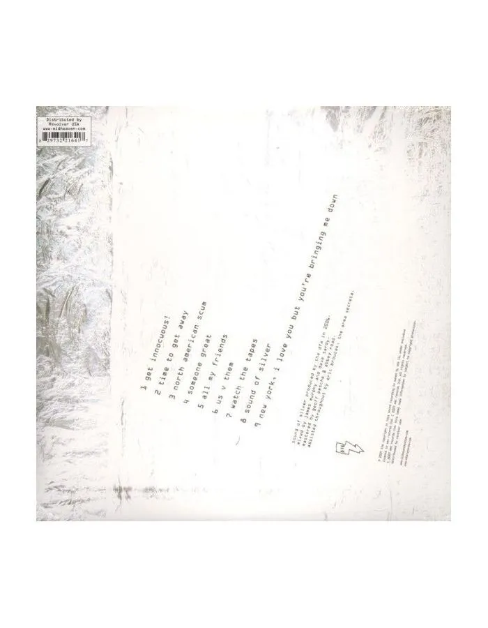 Виниловая пластинка LCD Soundsystem, Sound Of Silver (0094638511410) - фото 2