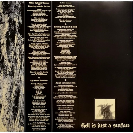 Soulburn - Earthless Pagan Spirit (0889853626212) виниловая пластинка - фото 11