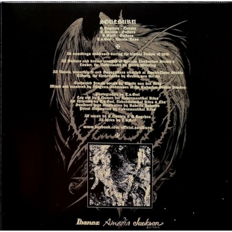 Soulburn - Earthless Pagan Spirit (0889853626212) виниловая пластинка - фото 6