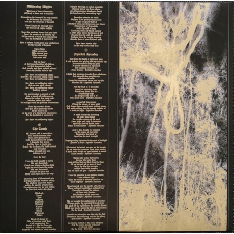 Soulburn - Earthless Pagan Spirit (0889853626212) виниловая пластинка - фото 10