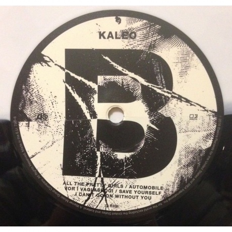 Kaleo - A/B (0075678664564) виниловая пластинка - фото 5