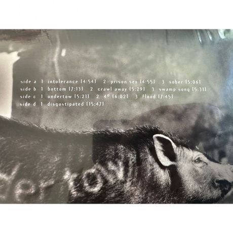 Tool - Undertow (0614223105215) виниловая пластинка - фото 8