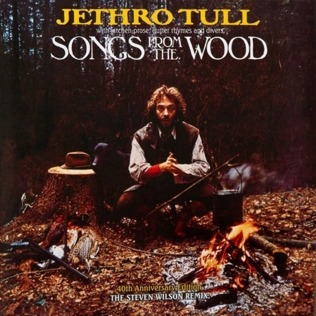 Jethro Tull - Songs From The Wood (0190295847852) виниловая плас...