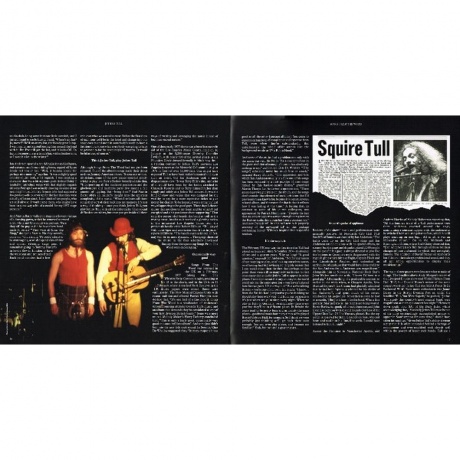 Jethro Tull - Songs From The Wood (0190295847852) виниловая пластинка - фото 14