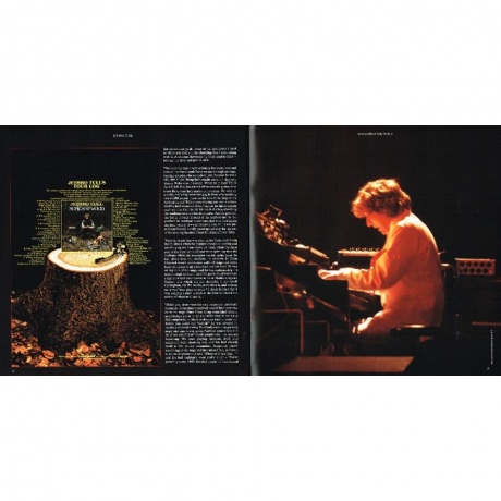 Jethro Tull - Songs From The Wood (0190295847852) виниловая пластинка - фото 16