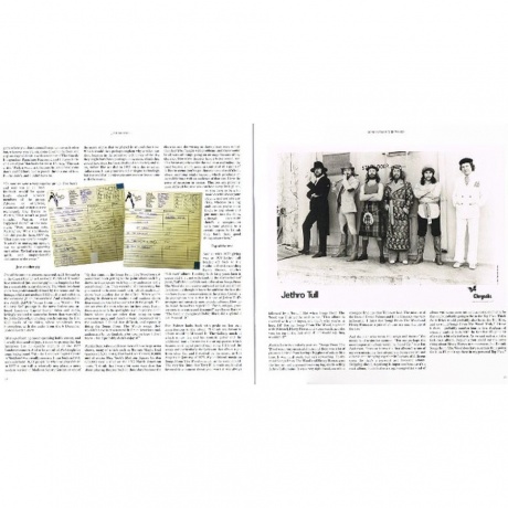 Jethro Tull - Songs From The Wood (0190295847852) виниловая пластинка - фото 17