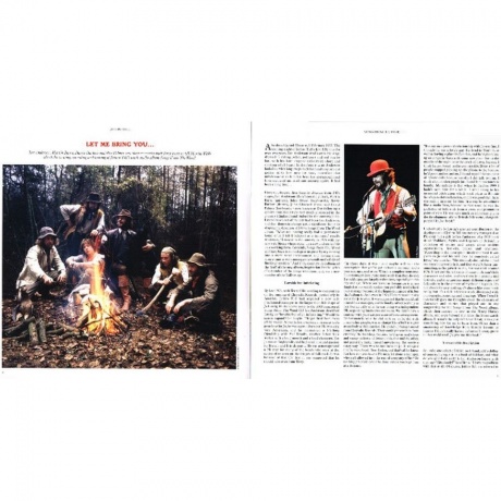 Jethro Tull - Songs From The Wood (0190295847852) виниловая пластинка - фото 8