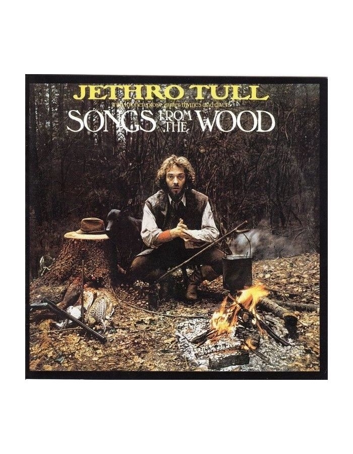 Виниловая пластинка Jethro Tull, Songs From The Wood (0190295847852) цена и фото