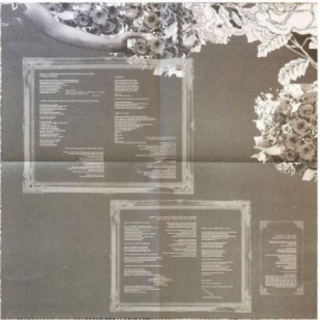 PANIC! At The Disco - A Fever You Can'T Sweat Out (0075678667626) виниловая пластинка - фото 5