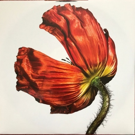 Pet Shop Boys, Release (Remastered) (0190295944049) виниловая пластинка - фото 3