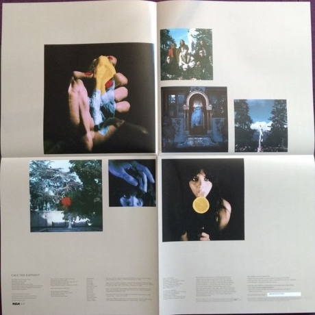 Cage The Elephant - Unpeeled (0889854281915) виниловая пластинка - фото 11