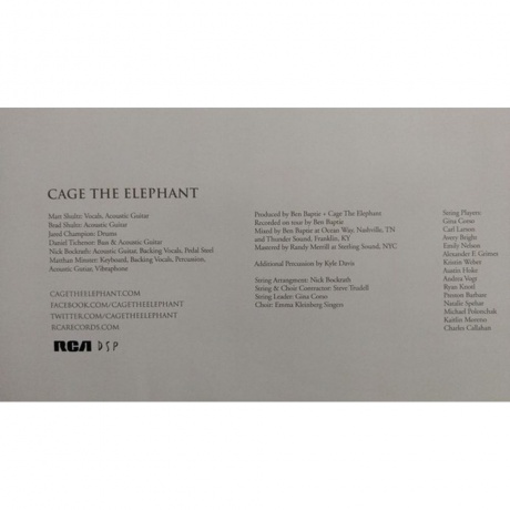 Cage The Elephant - Unpeeled (0889854281915) виниловая пластинка - фото 12