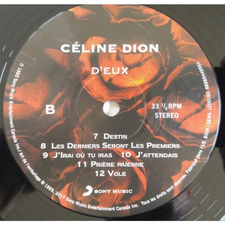 Dion, Celine, D'Eux (0889854495619) виниловая пластинка - фото 4