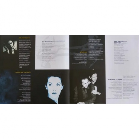 Dion, Celine, D'Eux (0889854495619) виниловая пластинка - фото 5