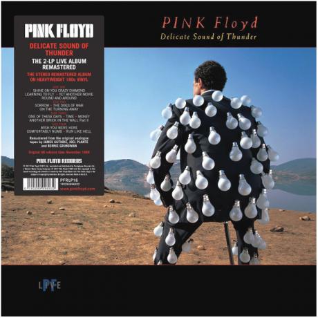 Виниловая Пластинка Pink Floyd Delicate Sound Of Thunder - фото 2