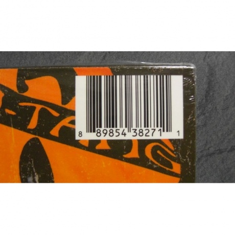 Wu-Tang Clan - Iron Flag (0889854382711) виниловая пластинка - фото 13