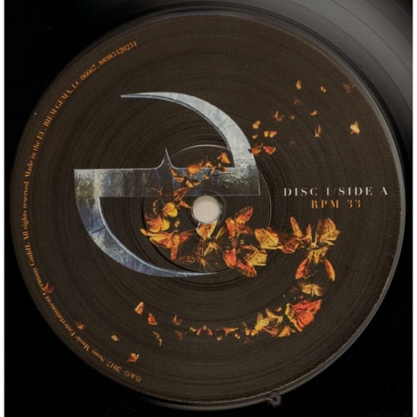 Evanescence - Synthesis (0889854202514) виниловая пластинка - фото 5