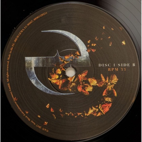 Evanescence - Synthesis (0889854202514) виниловая пластинка - фото 6