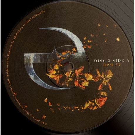 Evanescence - Synthesis (0889854202514) виниловая пластинка - фото 9