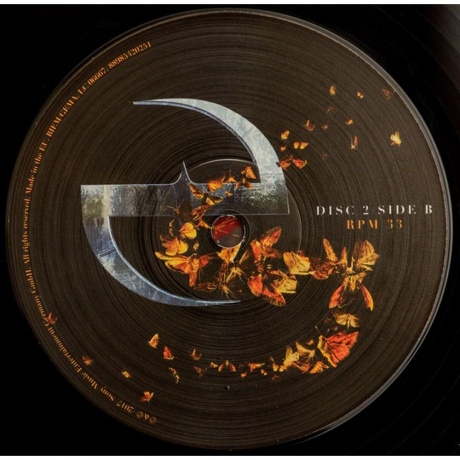 Evanescence - Synthesis (0889854202514) виниловая пластинка - фото 10