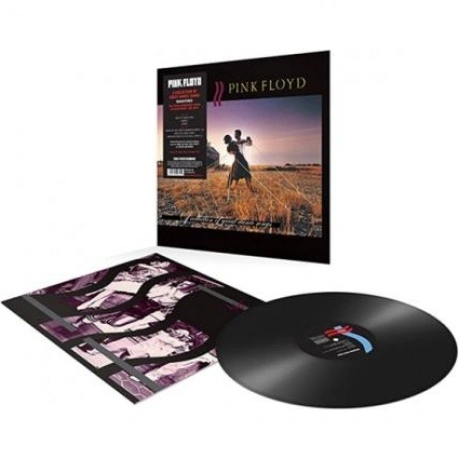 Pink Floyd - A Collection Of Great Dance Songs (0190295996901) в...