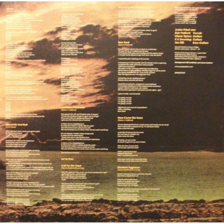 Judas Priest - Sin After Sin (0889853907816) виниловая пластинка - фото 6