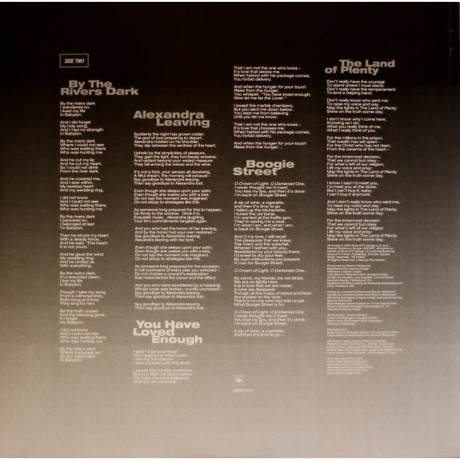 Leonard Cohen - Ten New Songs (0889854353711) виниловая пластинка - фото 6