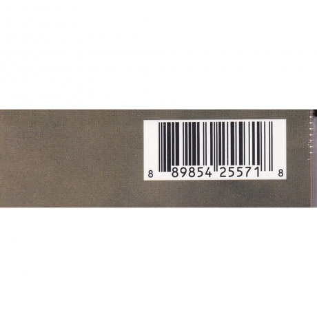 Bob Dylan - Time Out Of Mind (0889854255718) виниловая пластинка - фото 11