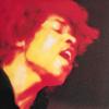 Виниловая пластинка Hendrix, Jimi, Electric Ladyland (0888751345...