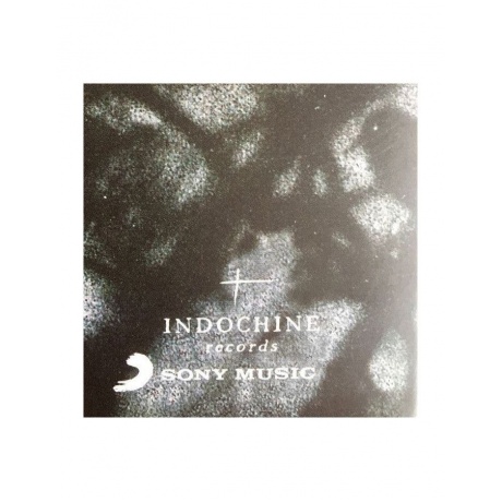 Виниловая пластинка Indochine, 7000 Danses (0888751098015) - фото 3