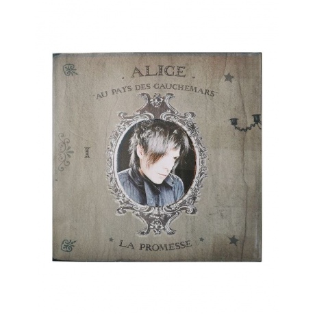 Виниловая пластинка Indochine, Alice &amp; June (0889853222513) - фото 8