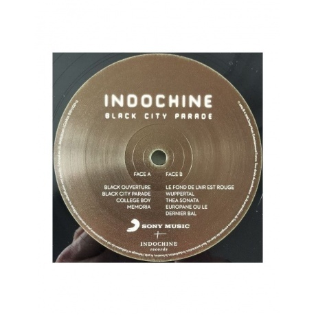 Indochine, Black City Parade (0889853534616) виниловая пластинка - фото 9