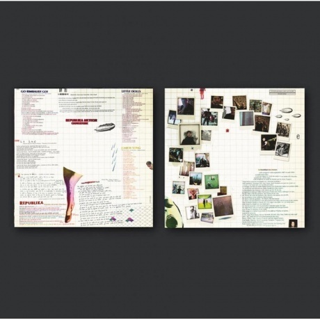 Indochine - La Republique Des Meteors (0889853248315) виниловая пластинка - фото 3