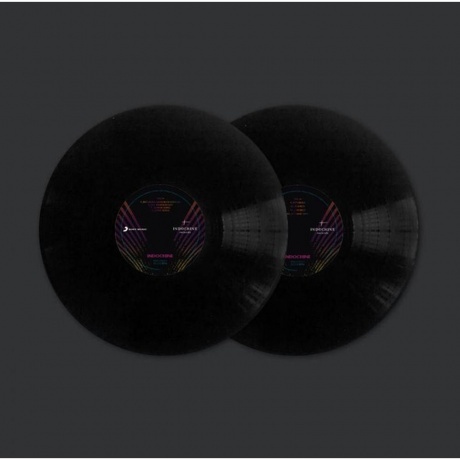 Indochine - La Republique Des Meteors (0889853248315) виниловая пластинка - фото 5