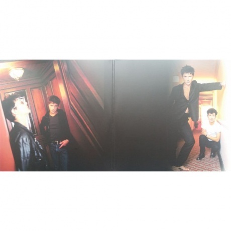 Indochine - Wax (0889853029716) виниловая пластинка - фото 3