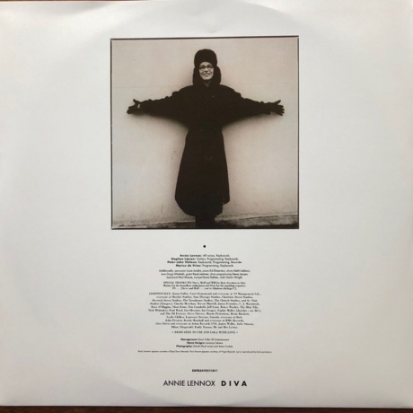 Annie Lennox - Diva (0889854195113) виниловая пластинка - фото 5