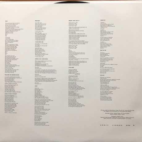 Annie Lennox - Diva (0889854195113) виниловая пластинка - фото 6