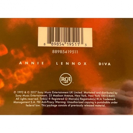 Annie Lennox - Diva (0889854195113) виниловая пластинка - фото 7