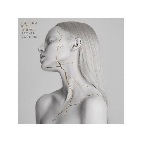 Nothing But Thieves - Broken Machine (0889854370312) виниловая п...