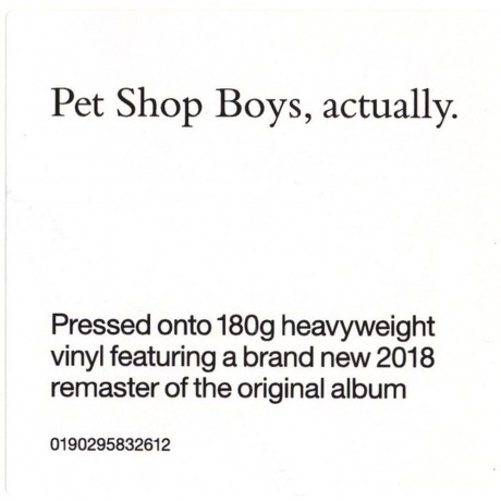Pet Shop Boys - Actually (0190295832612) виниловая пластинка - фото 7